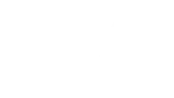 Responsible Investment Association Canada (RIA)